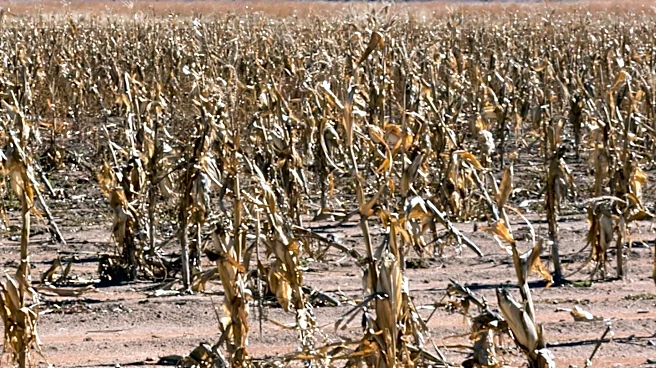 NFU Warns of Water Supply Challenges for Farmers Amid Drought Conditions