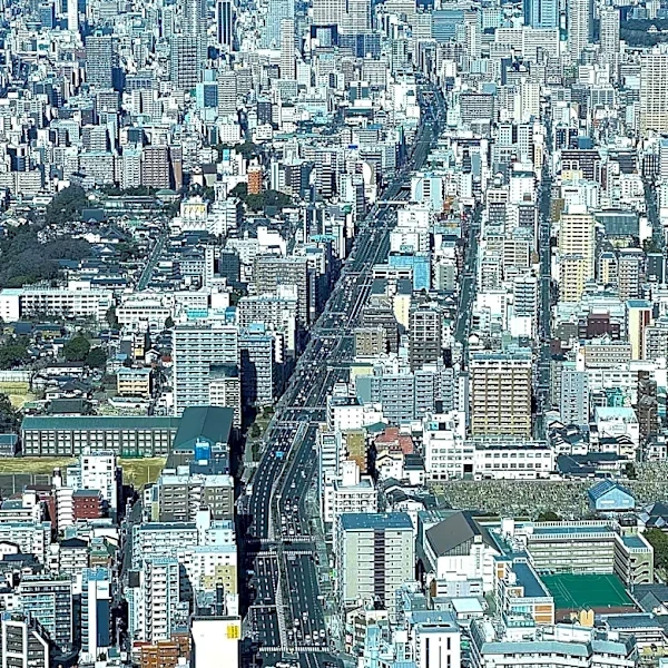 Japanese Government Issues Emergency Warnings Following Deadly Earthquake