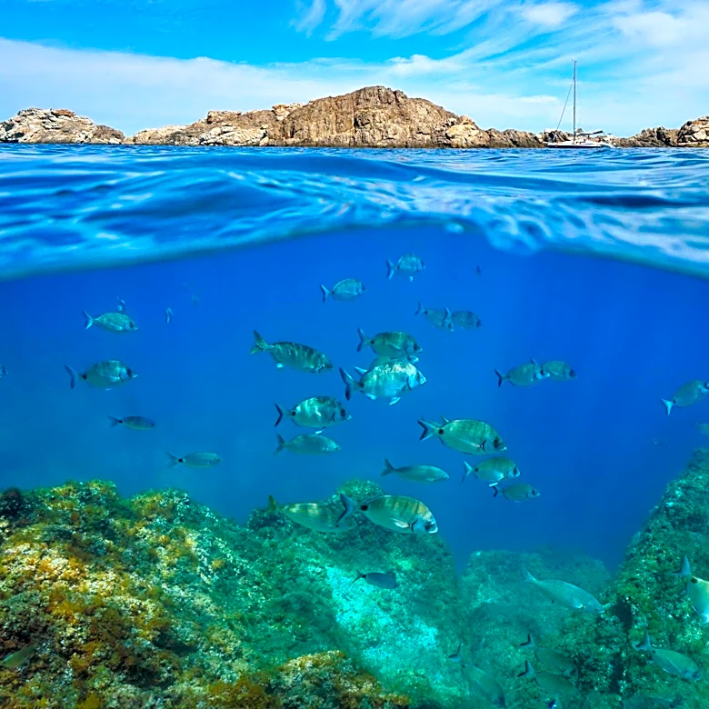 ASEZA Prepares for Tourism Boost After UNESCO Listing of Marine Reserve