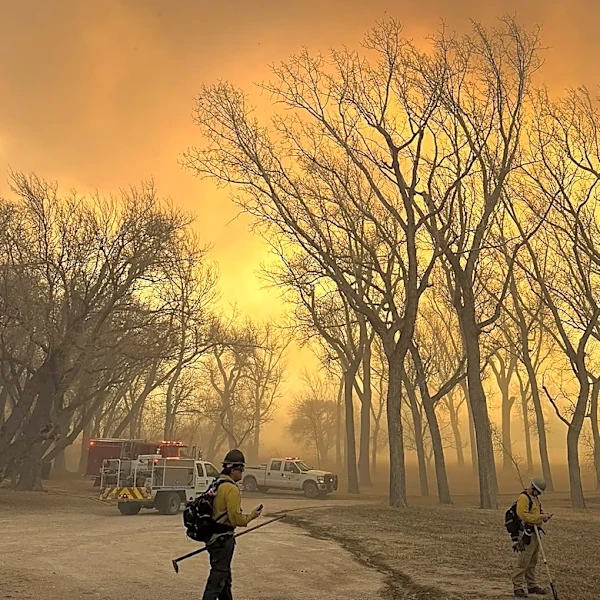 Colorado Rep. Pettersen Introduces Bipartisan Bills to Combat Wildfires
