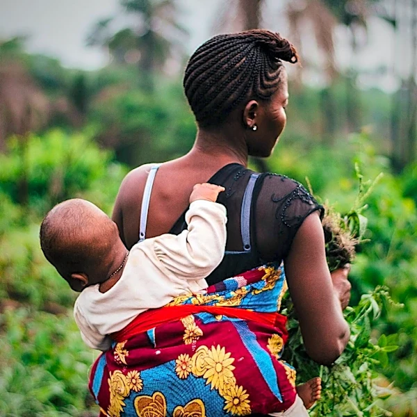 Global Child Malnutrition: 228.5 Million Affected, Socioeconomic Factors Highlighted