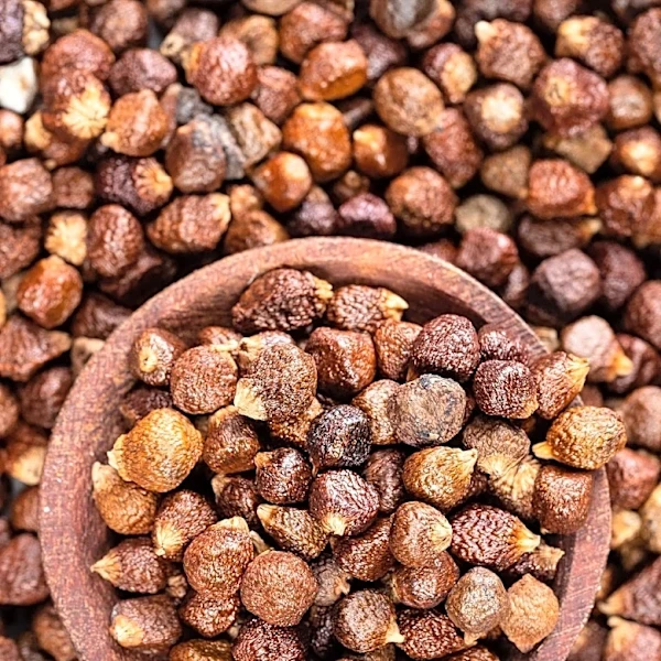 Ukrainian Sorghum Prices Stable Despite Black Sea Shipping Risks