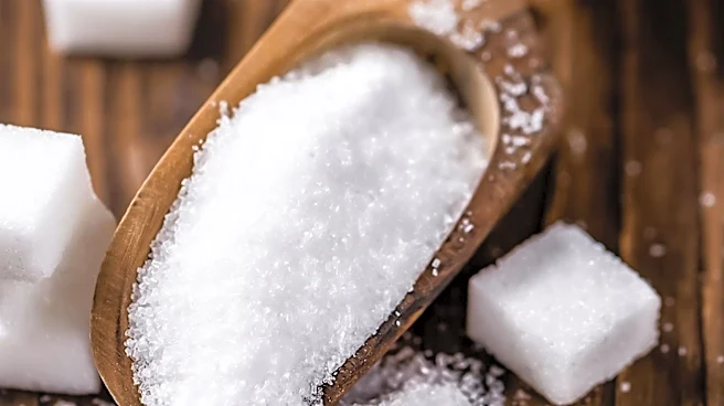 Study Links Fructose to Metastasis in Aggressive Ovarian Cancer