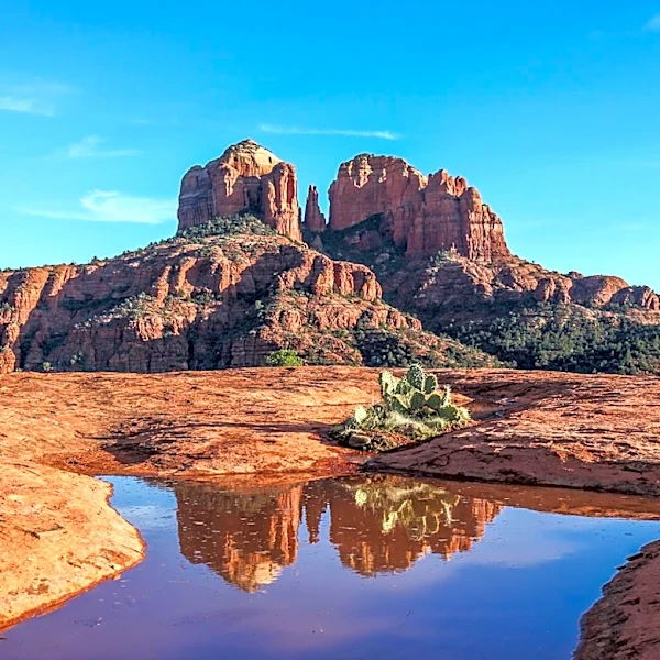 Eli Crane Highlights Drought Disaster Designations for Arizona Counties Amid Water Shortage Concerns
