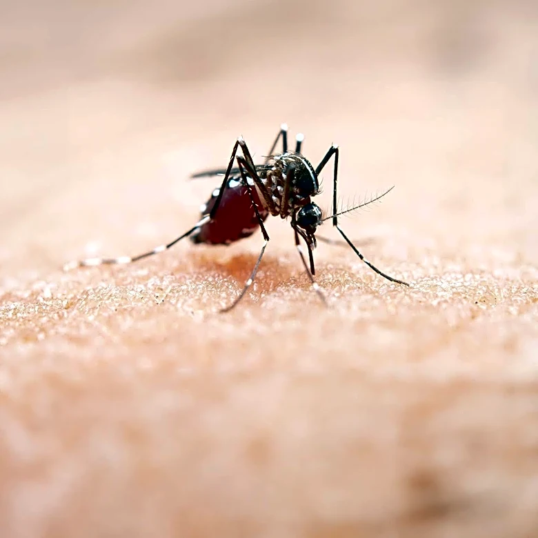Congressman Josh Gottheimer Hosts Roundtable on Rising Lyme Disease Threat in New Jersey