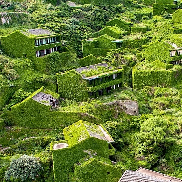 China's Saihanba Forest: A Model of Ecological Restoration and Climate Mitigation