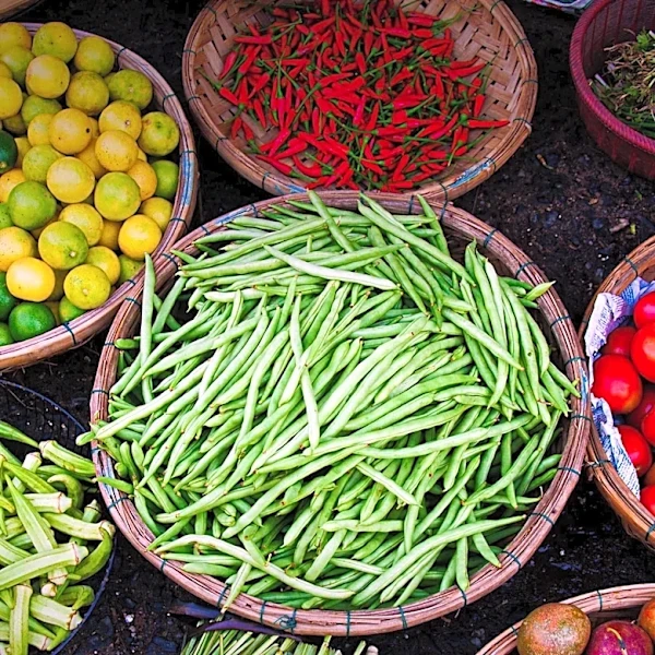 Minnesota Governor Tim Walz Proclaims Farmers' Market Week to Support Local Agriculture