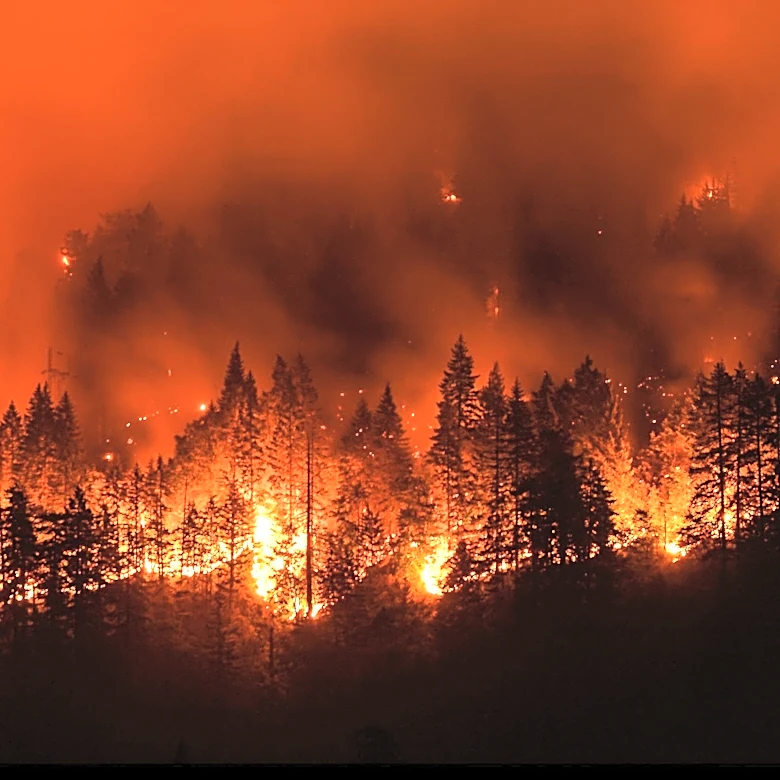 Wildfire Near Salt Point State Park Prompts Evacuations in Sonoma County
