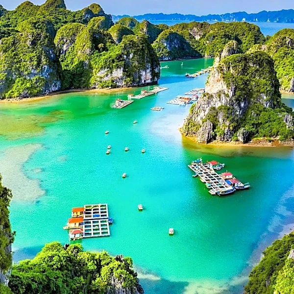 UNEP Initiates Mid-Term Review for Biodiversity Projects in Palau and Viet Nam