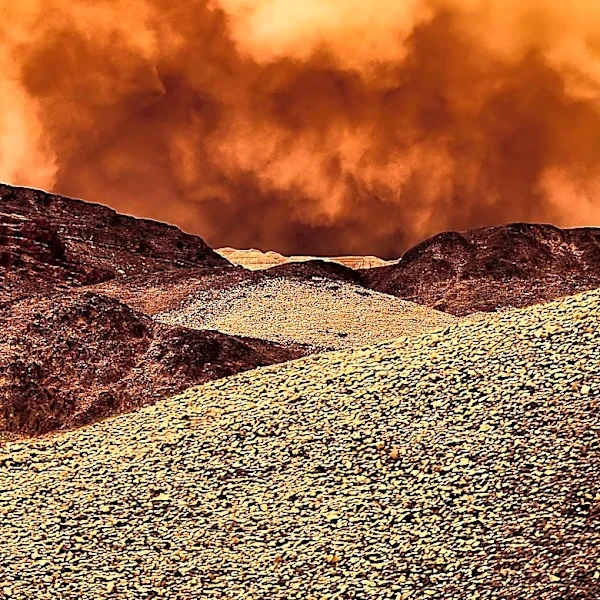 Wildfire in Sonoma County Prompts Evacuations and Highway Closure