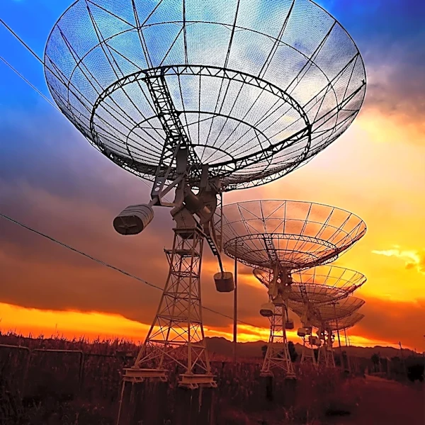 Radio Array Detects Polarized Light from Gamma-Ray Burst, Mapping Magnetic Environment