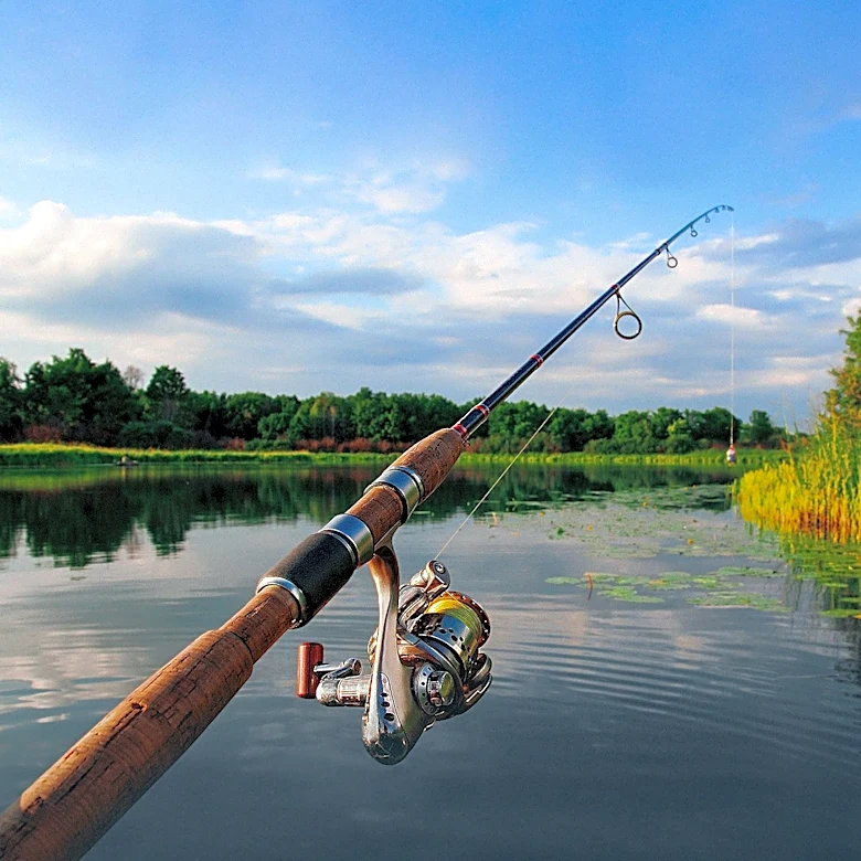 Connecticut Fishing Report Highlights Strong Bass and Sea Bass Activity