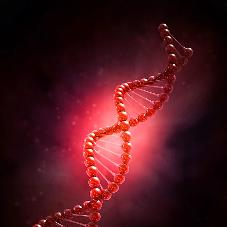 Study Finds Chromosomal Mutations in North Korean Defectors Near Nuclear Test Sites