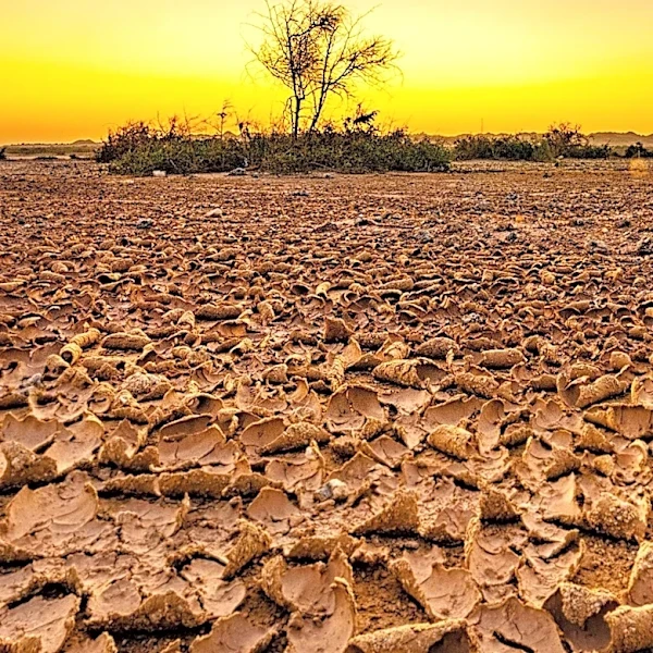 Record El Niño Threatens Global Food Security Amid Rising Concerns