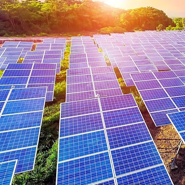 China's Solar Capacity Set to Surpass Coal, Marking a Shift in Energy Landscape