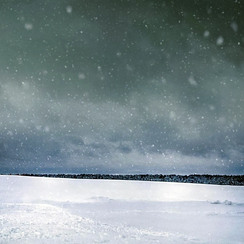 Dave Wedge's 'Blizzard of Lies' Tops True Crime Charts with Karen Read Case