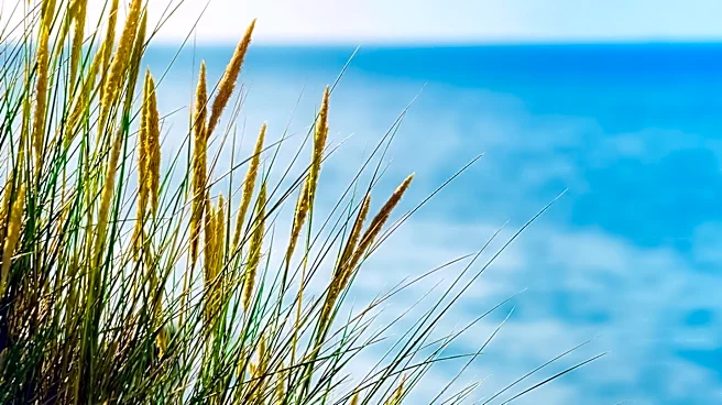 Indiana Dunes National Park Warns of Elevated E. coli Levels at Five Beaches
