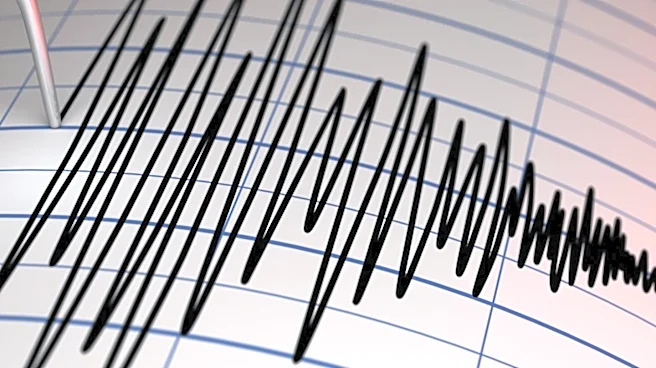 Japan Earthquake Disrupts Auto and Chip Manufacturing, Testing Supply Chain Resilience