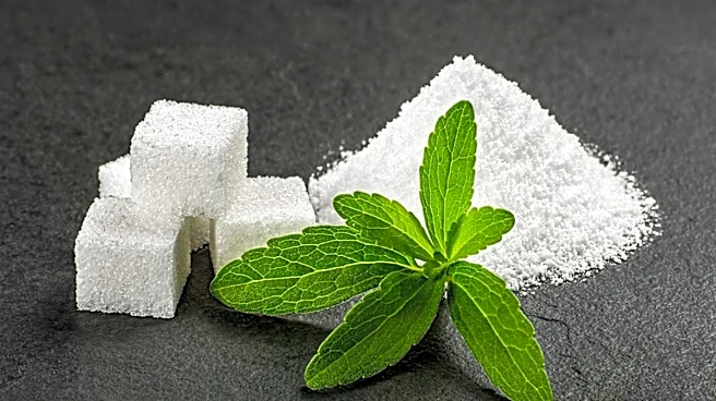 Study Finds Artificial Sweeteners May Disrupt Gut Bacteria