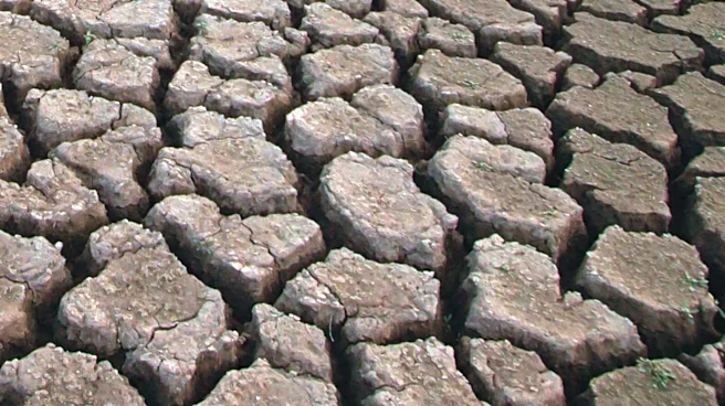 Federal Government Proposes Water Cuts in Response to Colorado River Crisis