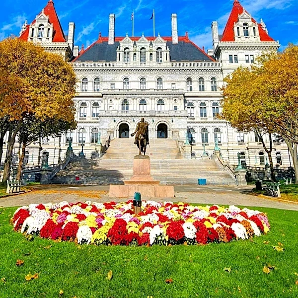 State Senator Liz Krueger Recovers from Stroke, Plans Return to Albany