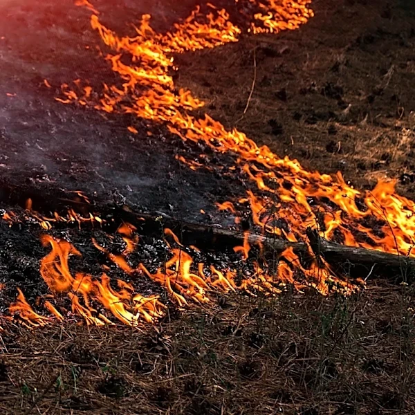 Extreme Fire Danger Declared East of the Cascades Due to Strong Winds and Low Humidity