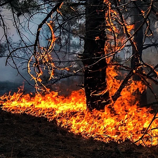 US Wildland Firefighters Struggle with Costly Safety Gear Amid Pay Reforms