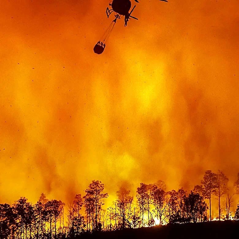 Woodside Fire on Sonoma Coast Reaches 30% Containment Amid Evacuations