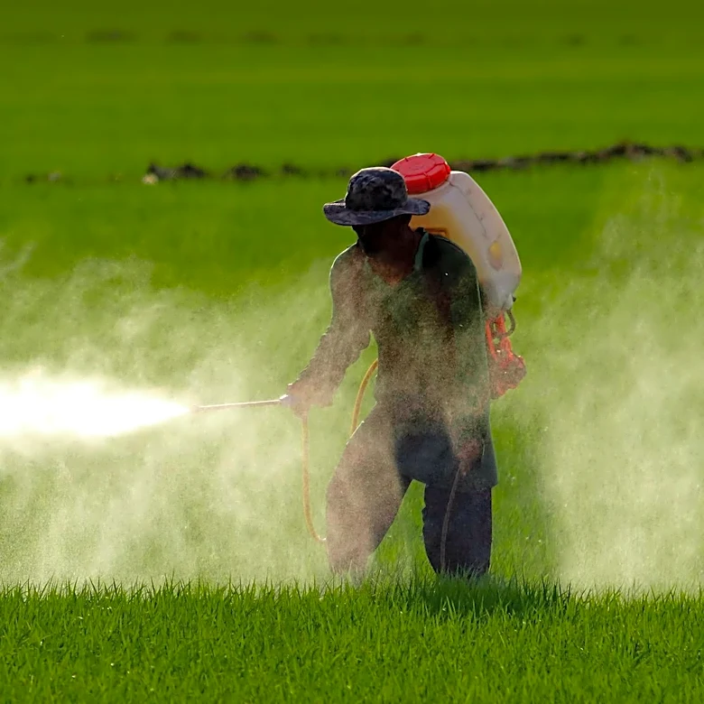 Orange County Faces Potentially Worst West Nile Virus Season on Record