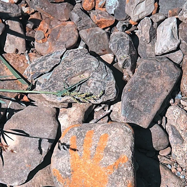 Colorado Fourteeners Initiative Responds to Vandalism on Mount of the Holy Cross