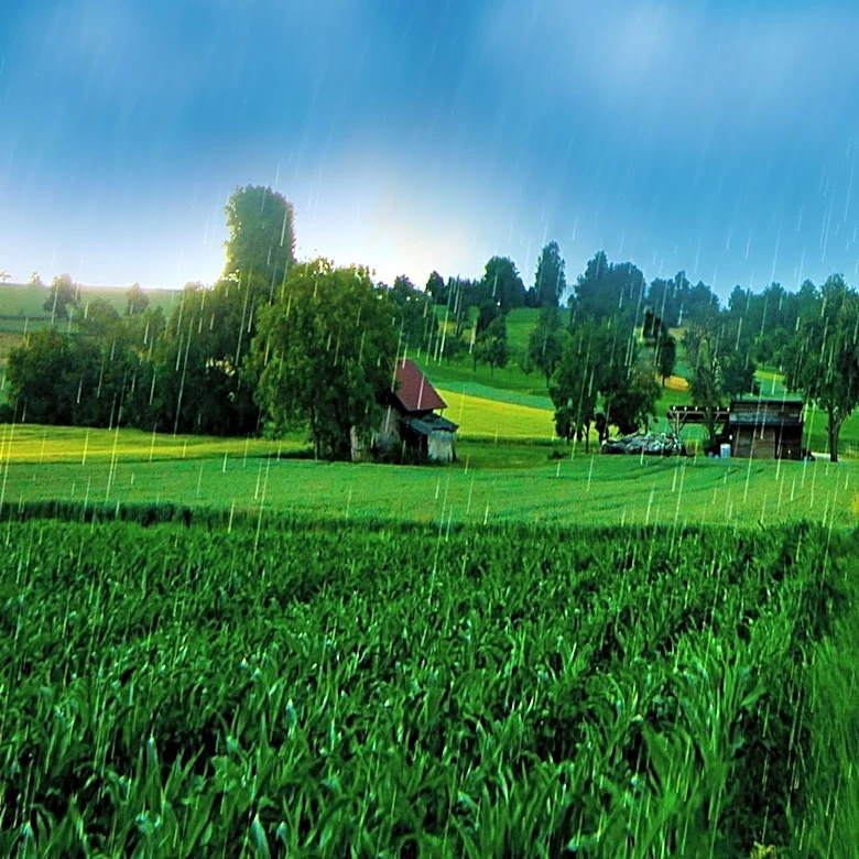 Heavy Rainfall Sweeps Across Minnesota Ahead of Sunny Weekend