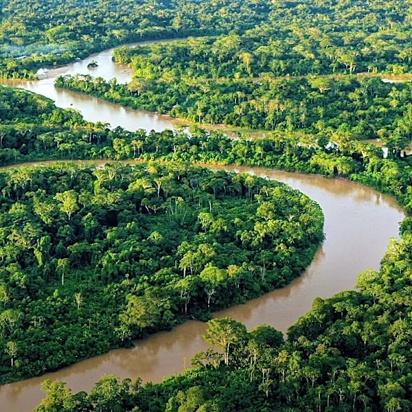 Amazon Rainforest's 'Flying Rivers' Sustain South American Agriculture
