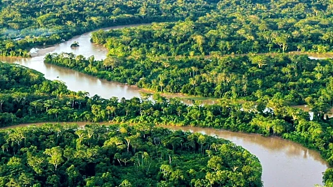 Amazon Rainforest's 'Flying Rivers' Sustain South American Agriculture