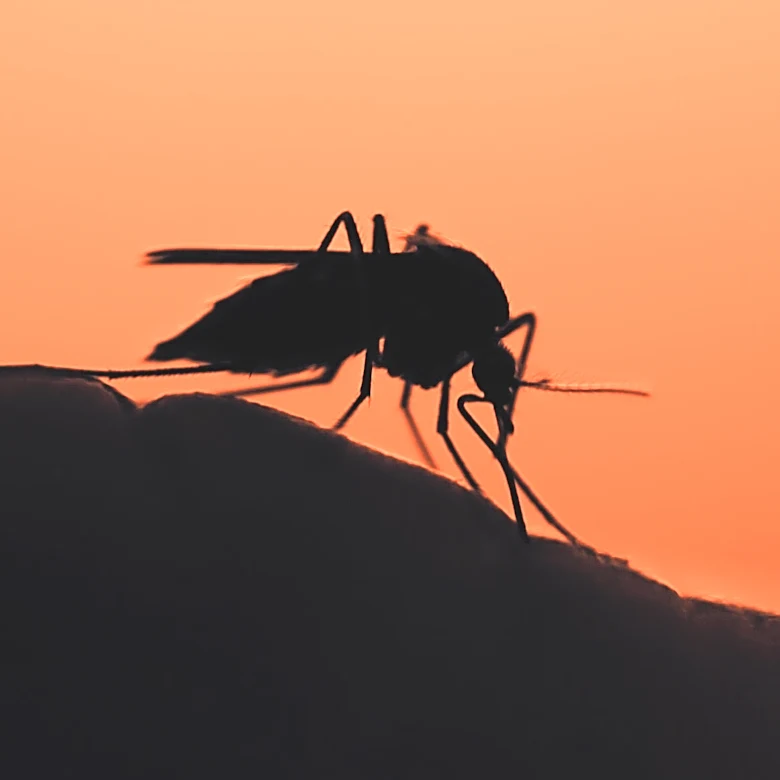 Climate Change May Alter Malaria Distribution in Africa