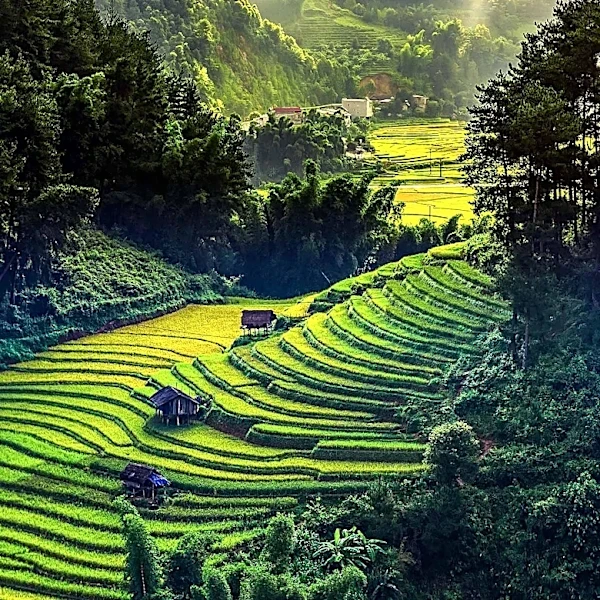 Jammu and Kashmir Enforces Agricultural Pause Periods to Protect Farming Seasons