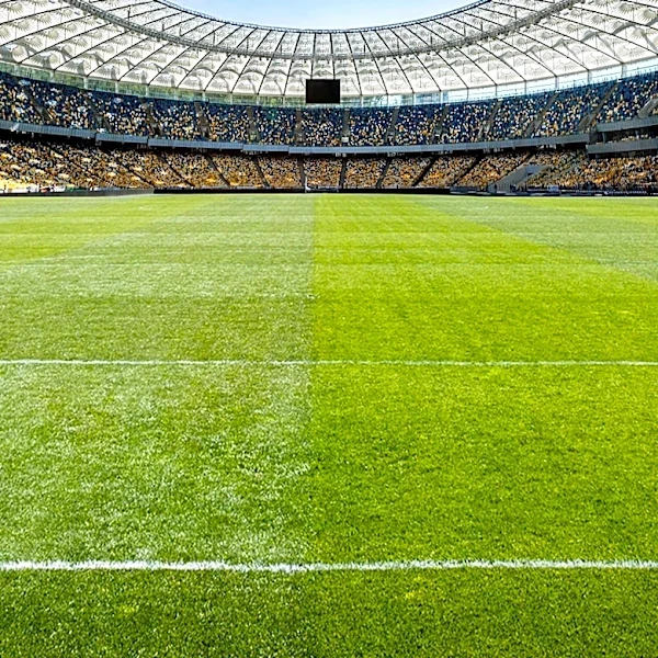 FIFA President Gianni Infantino Faces Backlash Over World Cup Stake Sale Proposal