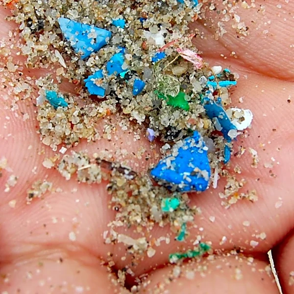 40 Massachusetts Beaches Closed Due to Bacterial Contamination