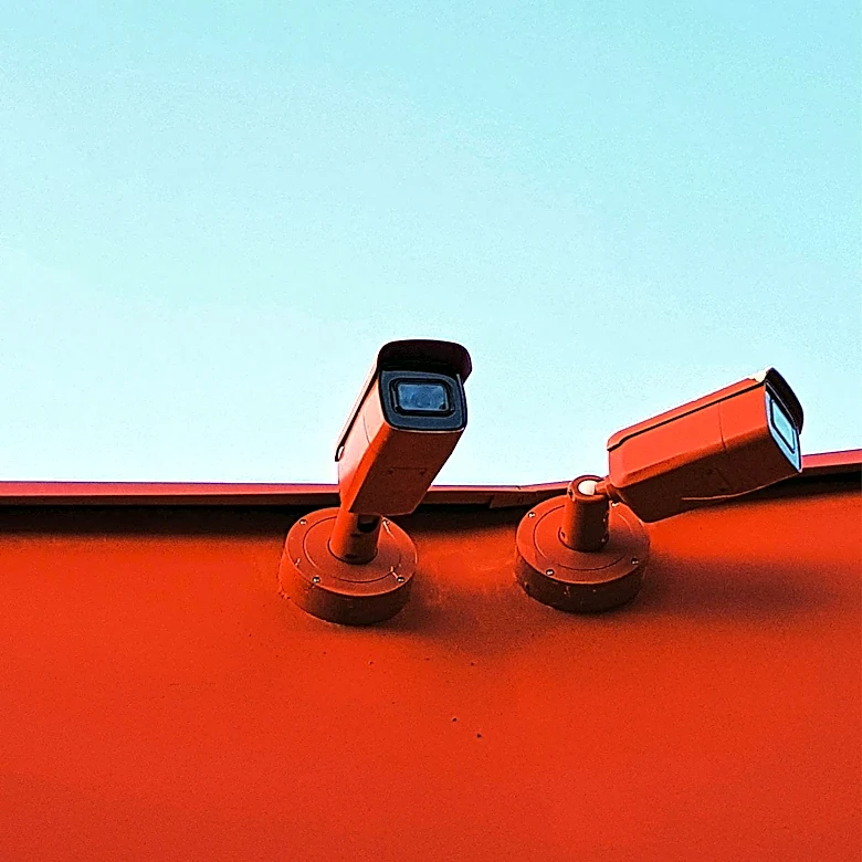 Florida Man's Creative Protest Against Flock Cameras Highlights Privacy Concerns