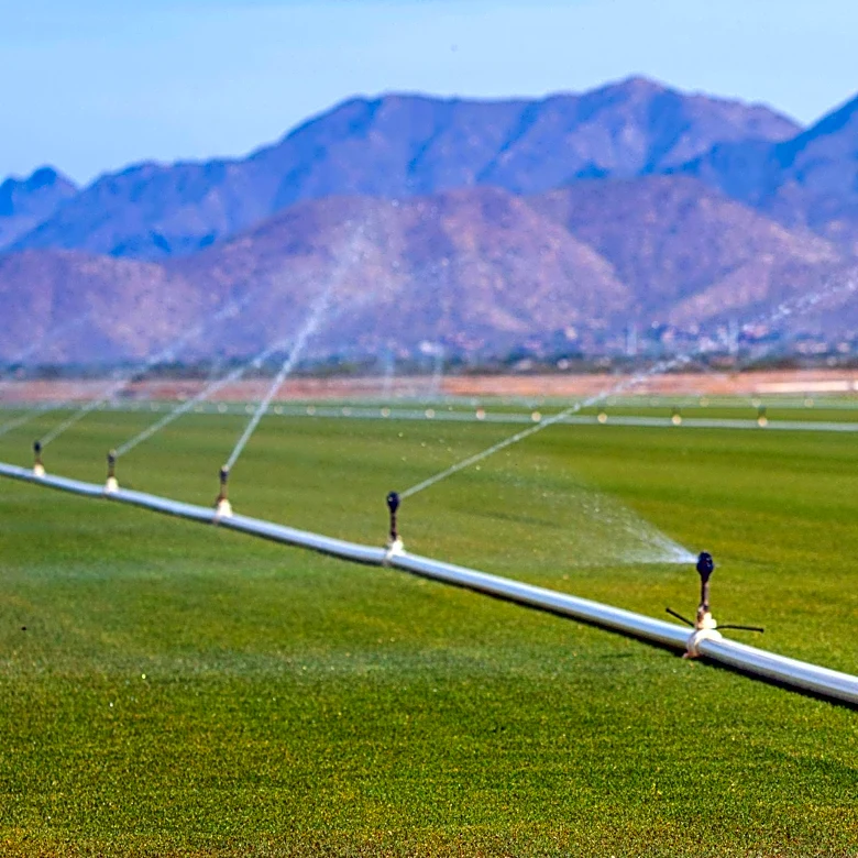 Congressman Tom McClintock Discusses California's Water and Agricultural Challenges
