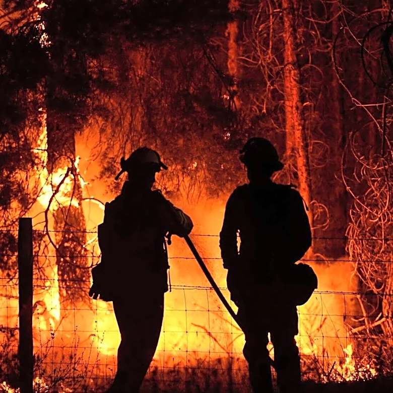 Nonprofits Urged to Support First Nations in Wildfire Response Efforts