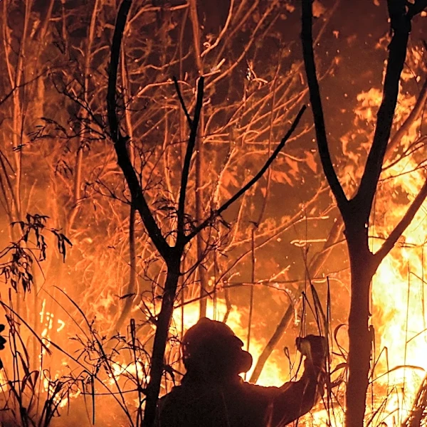 Volunteers Mobilize to Combat Wildfires in France Amid Heatwave