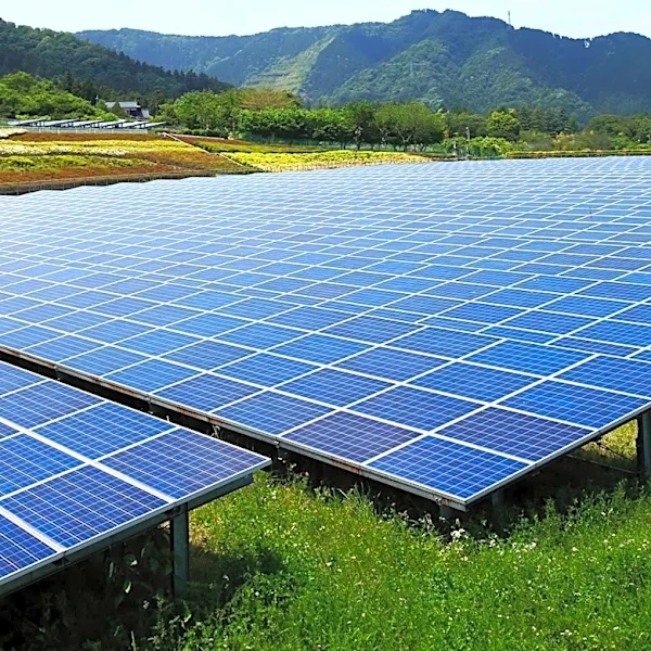China's Solar Capacity to Surpass Coal, Marking Shift in Energy Landscape