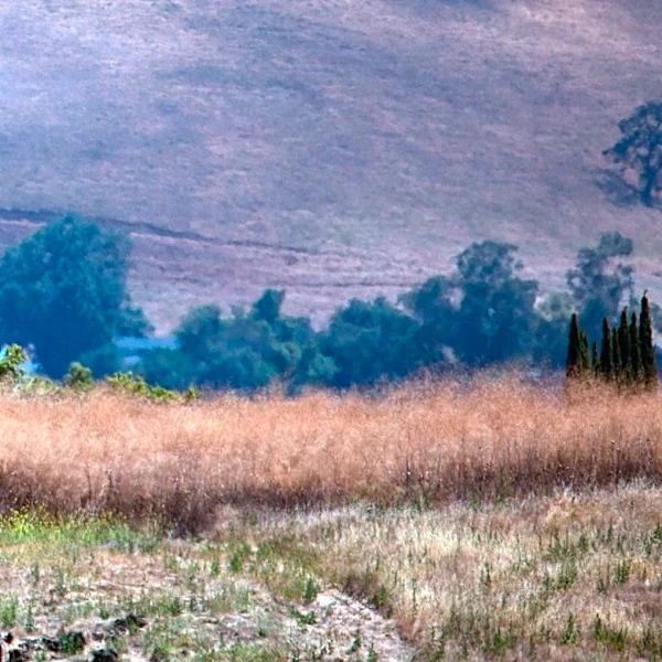 Washington State Faces Severe Wildfire Threats Amid Dry, Windy Conditions