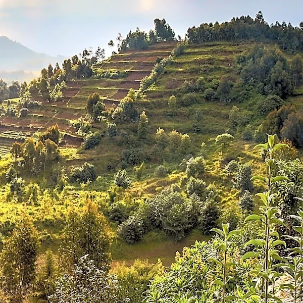 National Sustainable Agriculture Summit 2026 to Focus on Resilient Agriculture Ecosystem