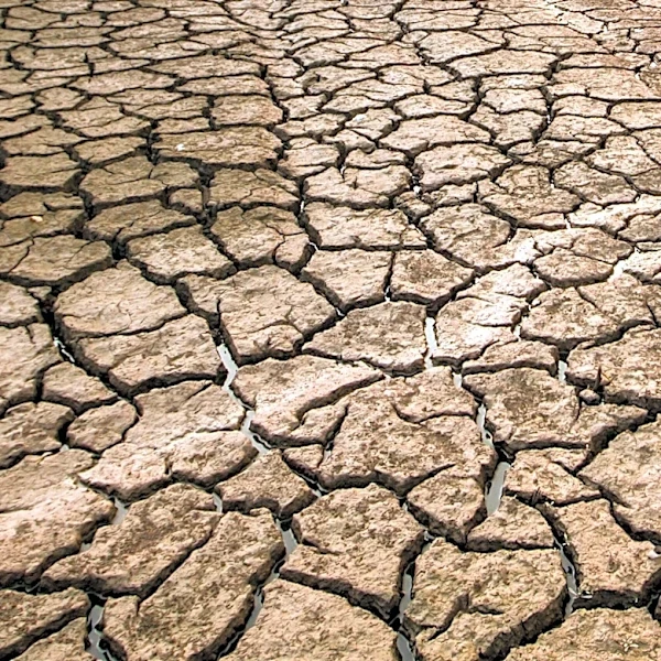 Federal Government Proposes Significant Water Cuts for Colorado River States