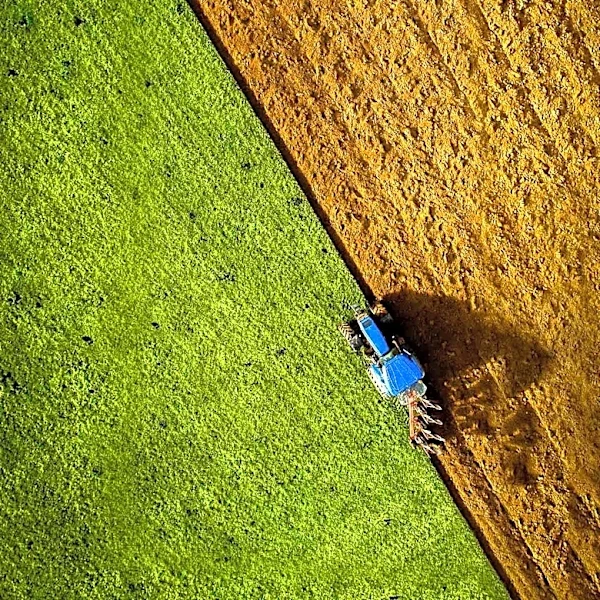 Mark Powell Honored for Advocacy in Maryland Agriculture with Prestigious Award