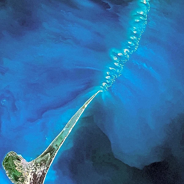 Strait of Hormuz Blockade Poses Bio-Invasion Threat, India at High Risk