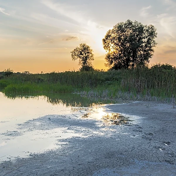 Federal Government Proposes Significant Water Cuts for Colorado River Basin States