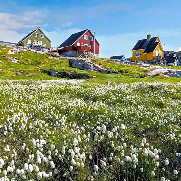 President Trump Considers U.S. Control Over Greenland to Counter China and Russia