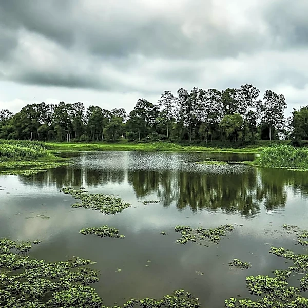 Cloudy and Humid Weather Expected in Maryland This Weekend